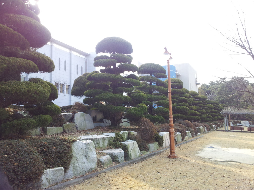 가나조경 이미지