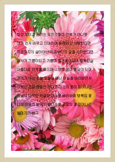 소망꽃 이미지