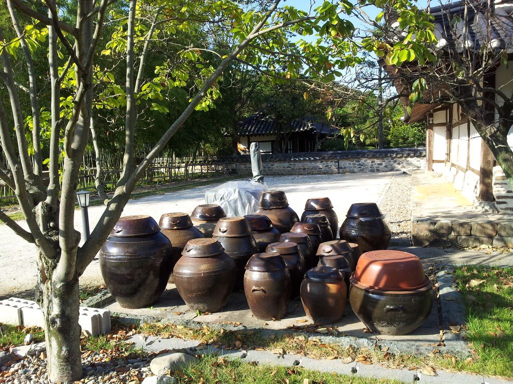 정바우 이미지