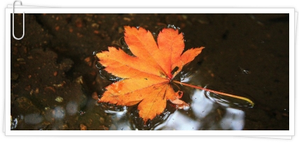 0173B935509400510E6882