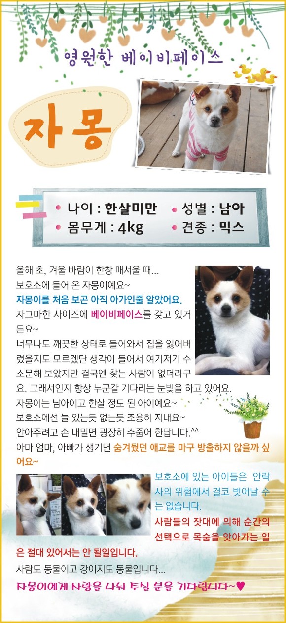 큐티 이미지