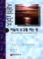 하늘보고 이미지