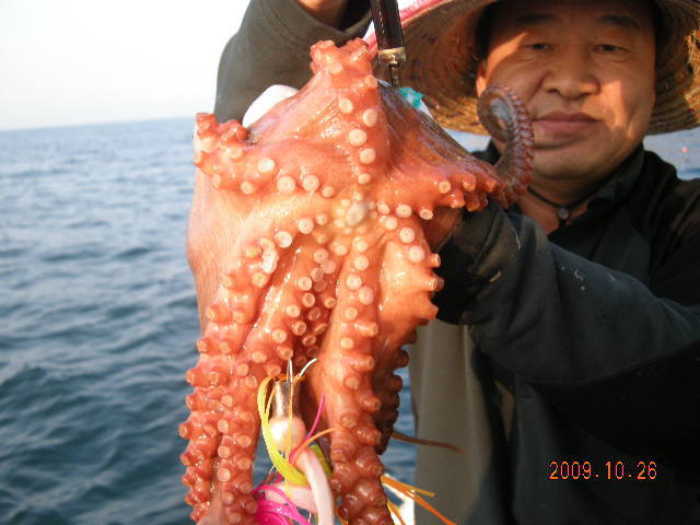 서해피싱호 이미지