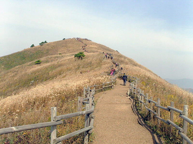 민둥산 이미지