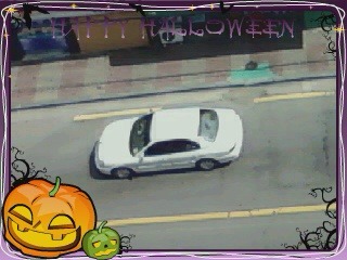 영특 이미지