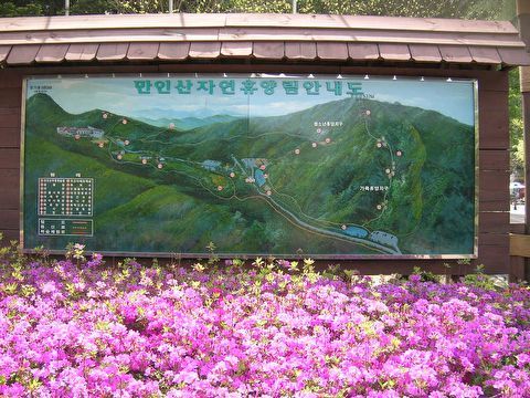 제2금산주유소 이미지