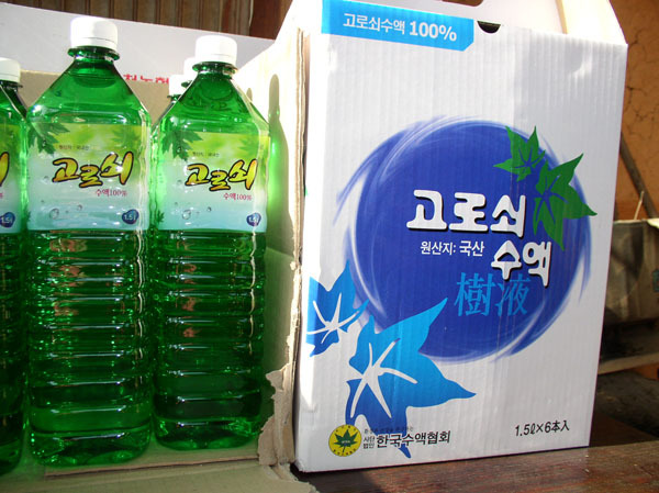 고로쇠 이미지