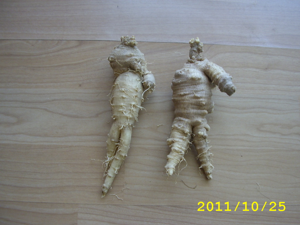 산방농장 이미지