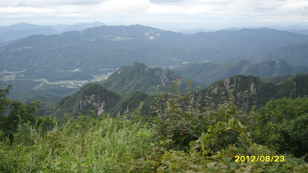 야생화세상 이미지