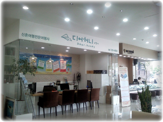 허니항공여행사 이미지