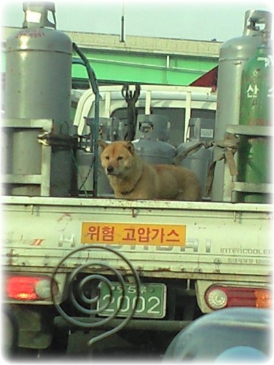 고강가스 이미지