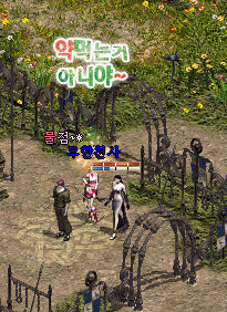 디케이스킨 이미지