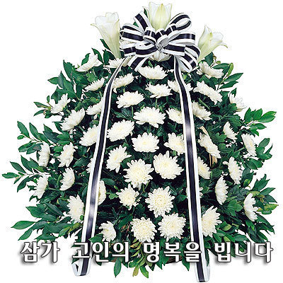 한*섭 이미지