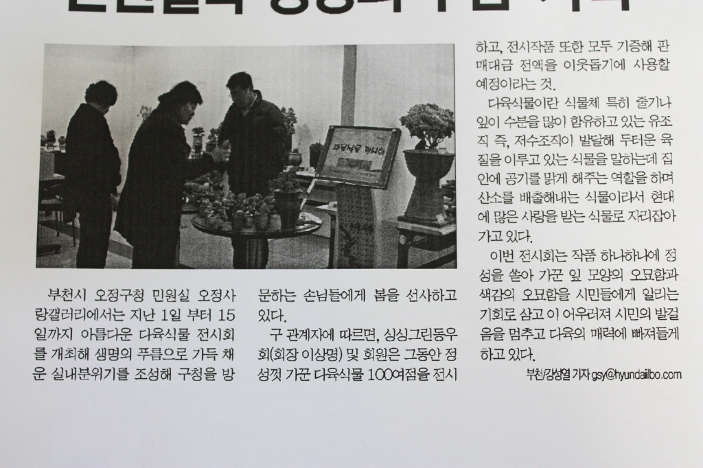 싱싱다육그린원 이미지