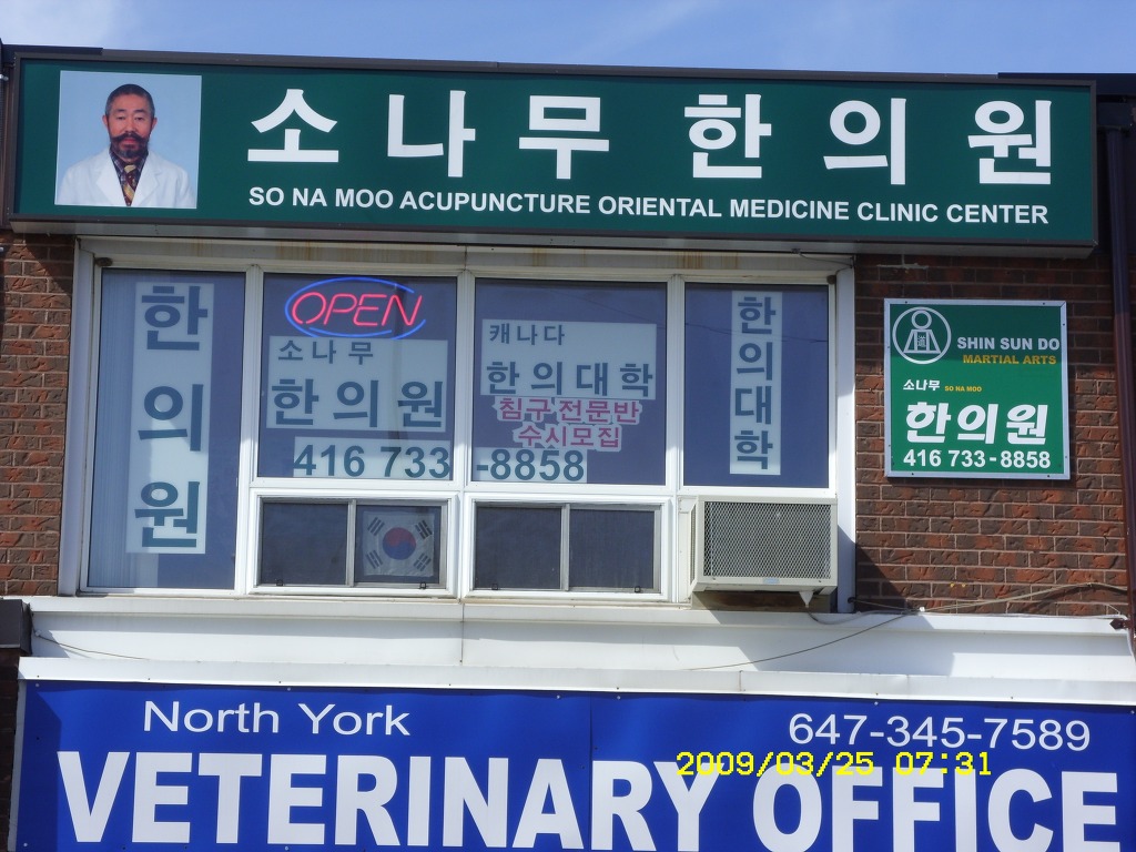 소나무한의원 이미지