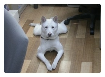 엄마밥도 이미지