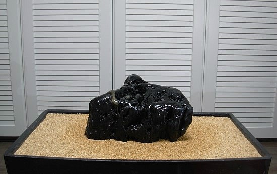 돌고래 바위? 이미지