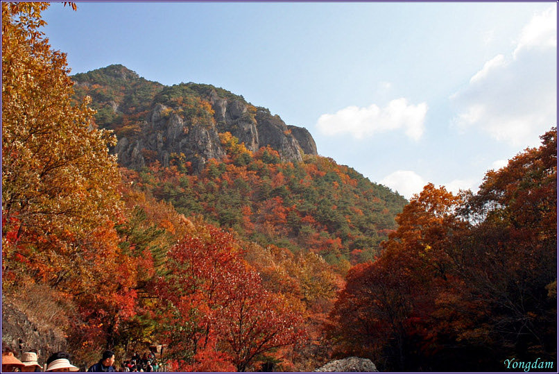 주왕산주유소 이미지