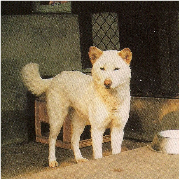경자 이미지