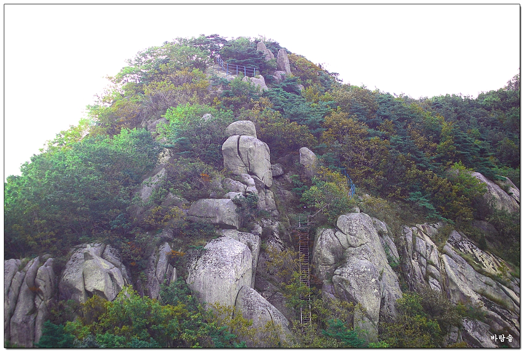 서산제일주유소 이미지