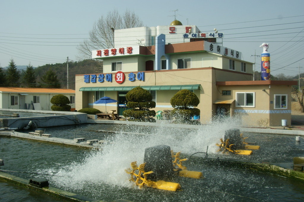 상어식당 이미지