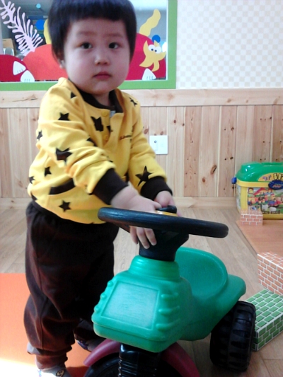 참나무 3형제 이미지