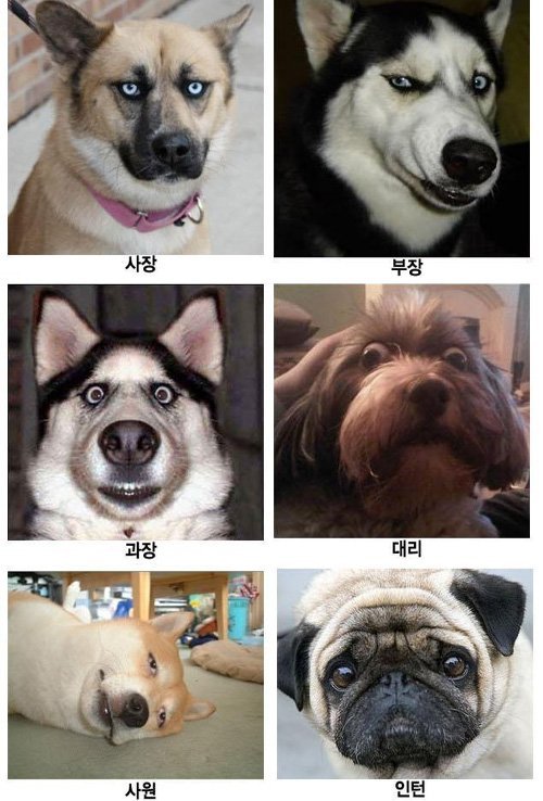 같이 이미지