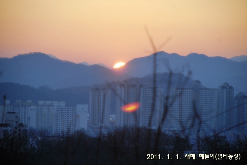 말띠농원 이미지