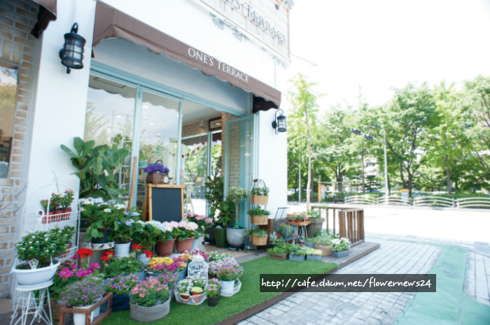 Terrace(테라스) 이미지