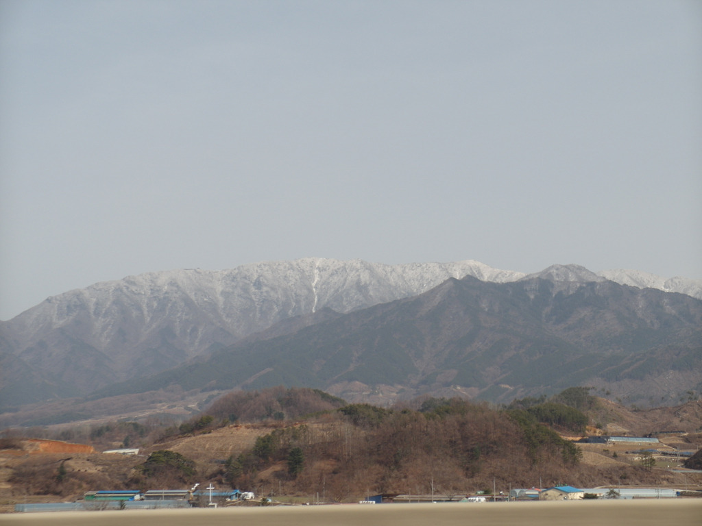 함양흑염소 이미지