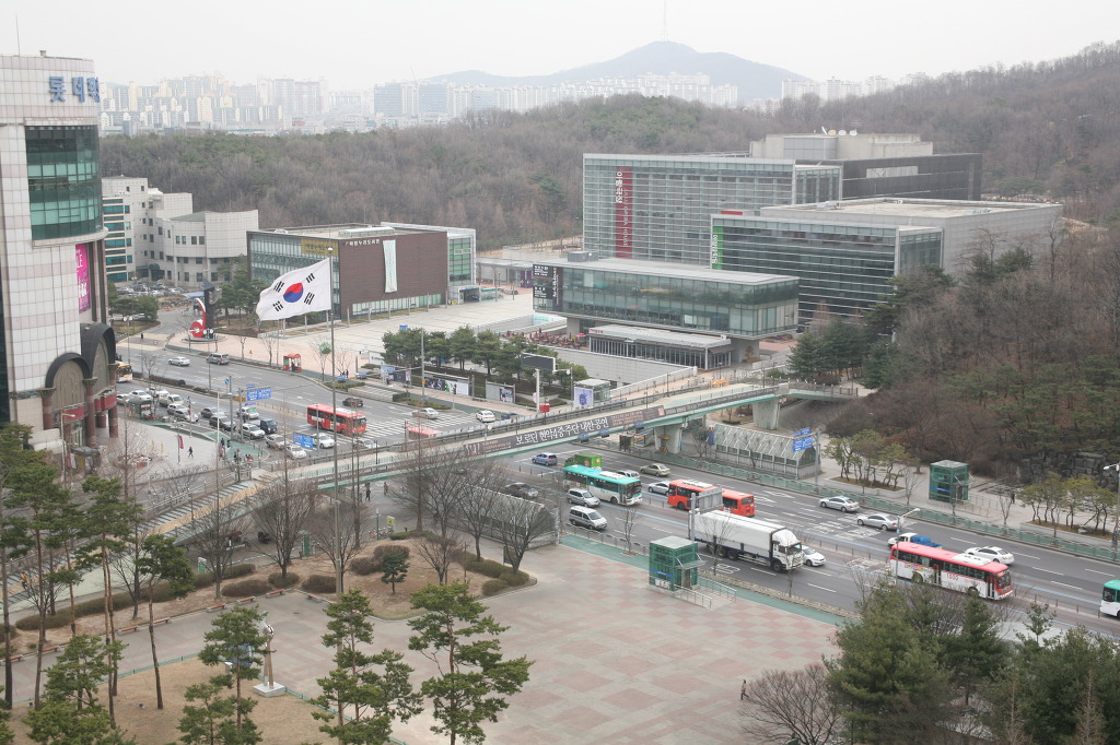 윙윙댄스스포츠 이미지
