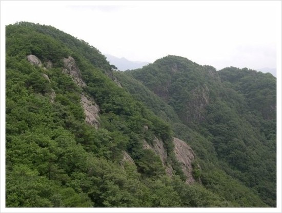대부산 정상 이미지