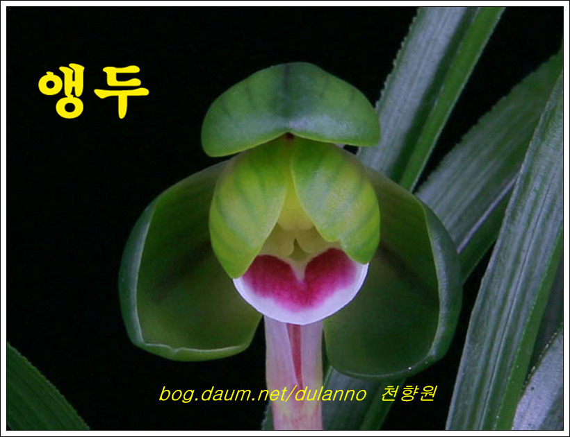 천향원 이미지