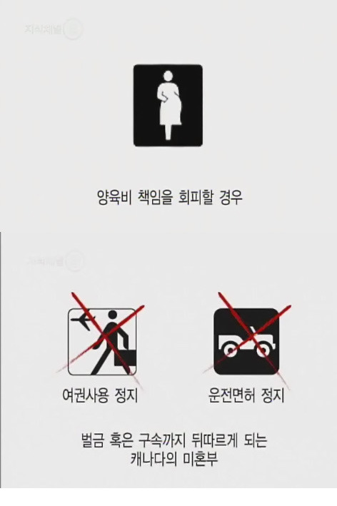 낙태법 제정한 사람들이 봤으면 하는 지식채널e '그 남자의 권리' | 인스티즈