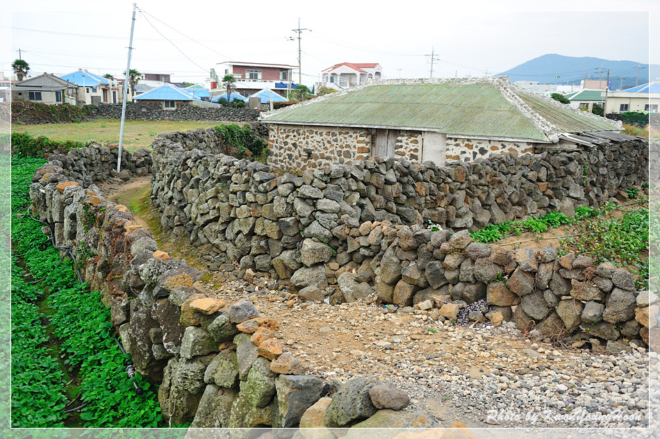 제주돌담 이미지
