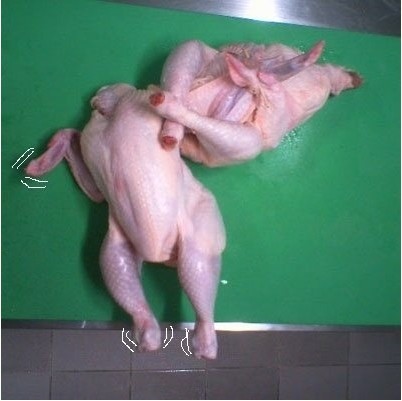 암바치킨 이미지