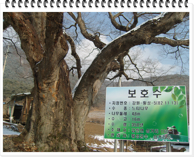 거목횟집 이미지