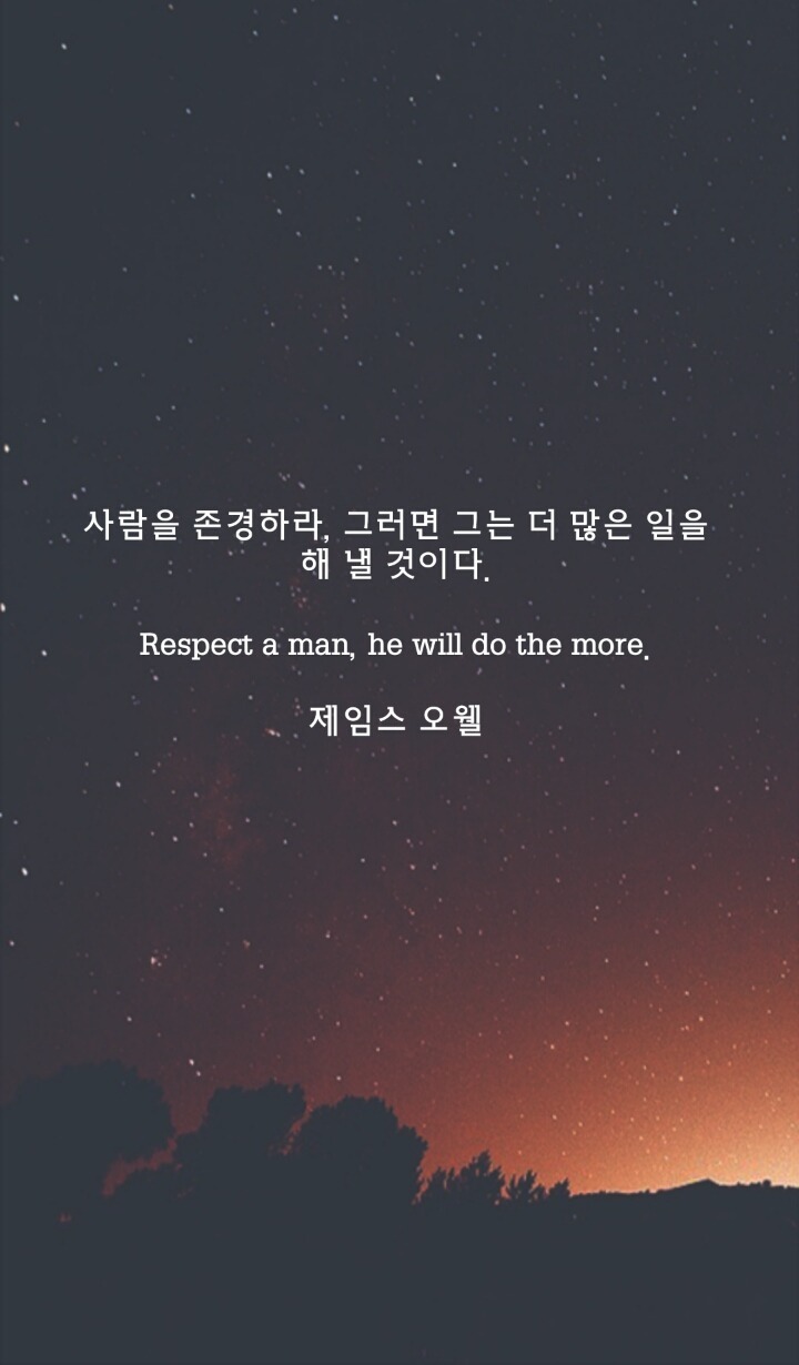 드림트리 이미지