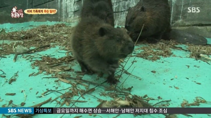말해봐요 나한테 왜 그랬어요 | 인스티즈