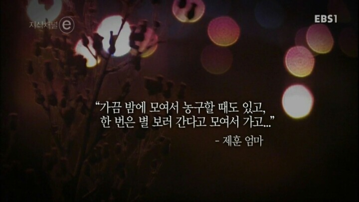 지식채널e - 아들들.jpg | 인스티즈