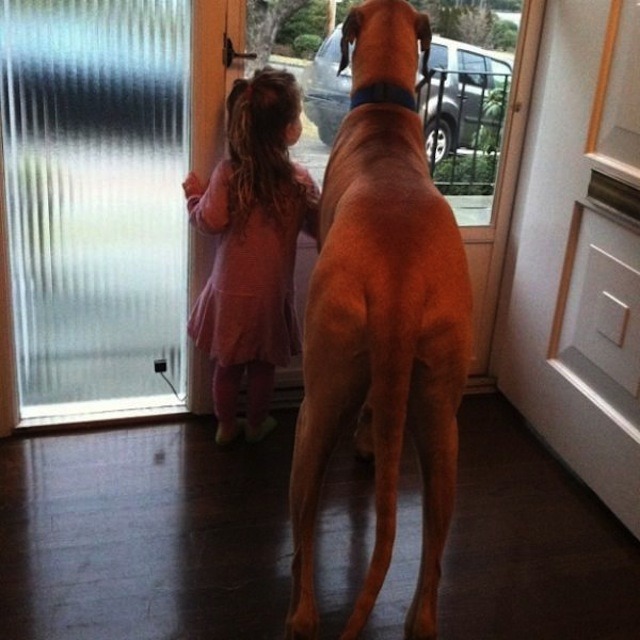 애들과 멍멍이 | 인스티즈