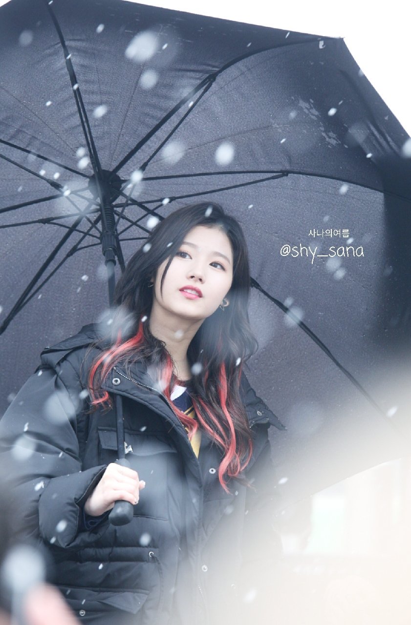 [트와이스] 첫눈속에 피는 사나 | 인스티즈