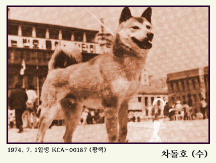 차돌이 이미지