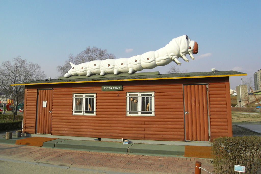 영동고등학교 이미지