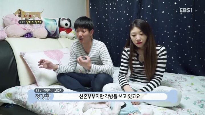 [세나개] 공격적인 반려견이 되는 이유 1부.jpg | 인스티즈