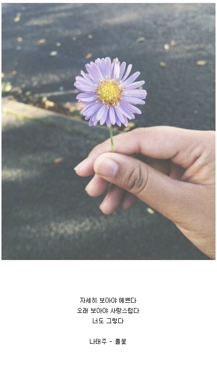 너는 내가 읽은 가장 아름다운 구절이다 | 인스티즈