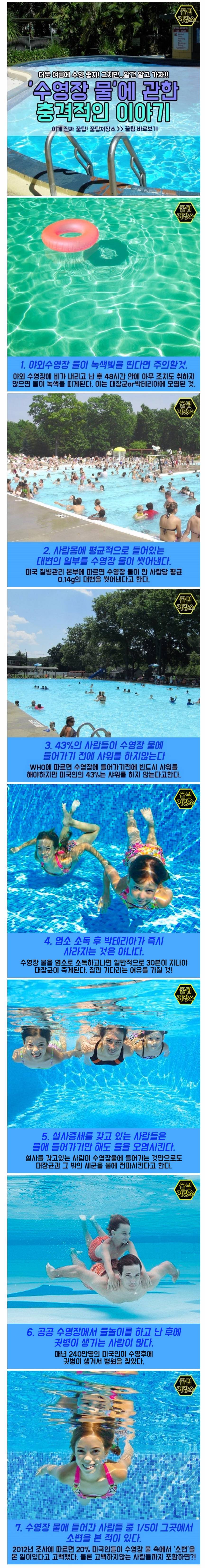 수영장 물에 대한 7가지 사실 | 인스티즈