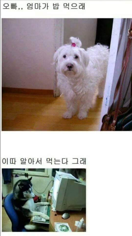 밥은 먹고 다니냐 | 인스티즈