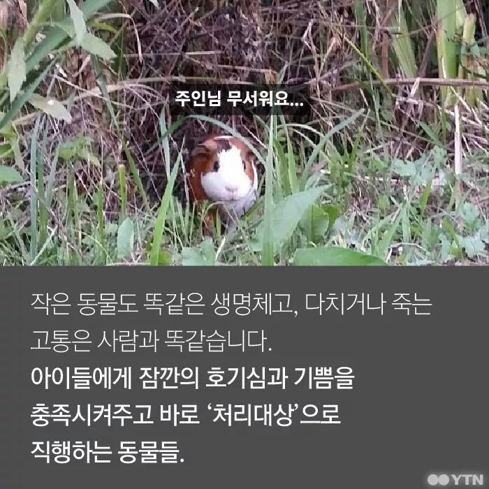 햄스터가 폐기물인가요? | 인스티즈