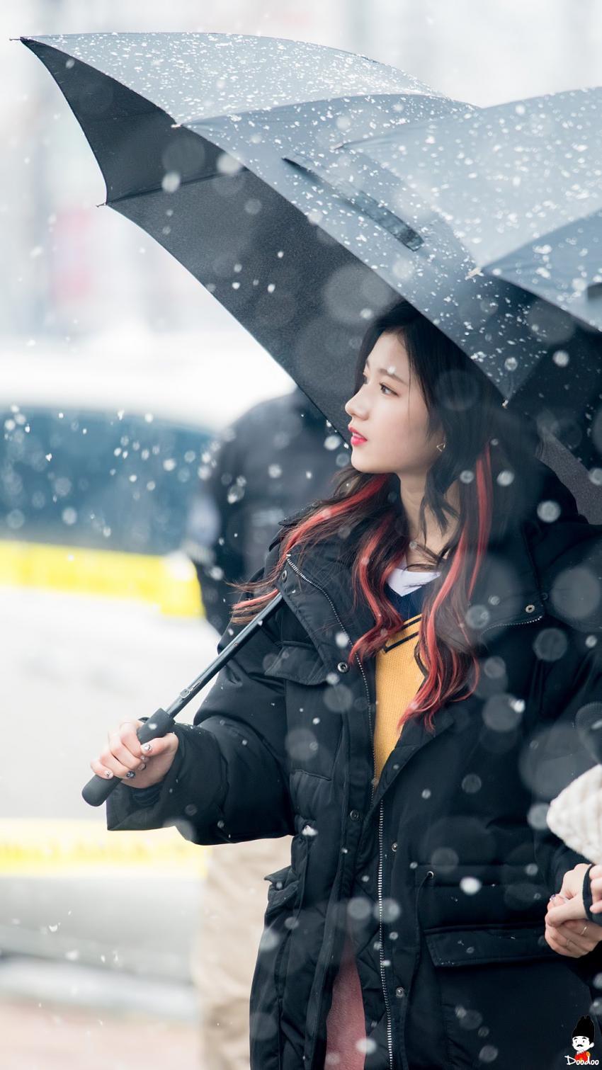 [트와이스] 첫눈속에 피는 사나 | 인스티즈